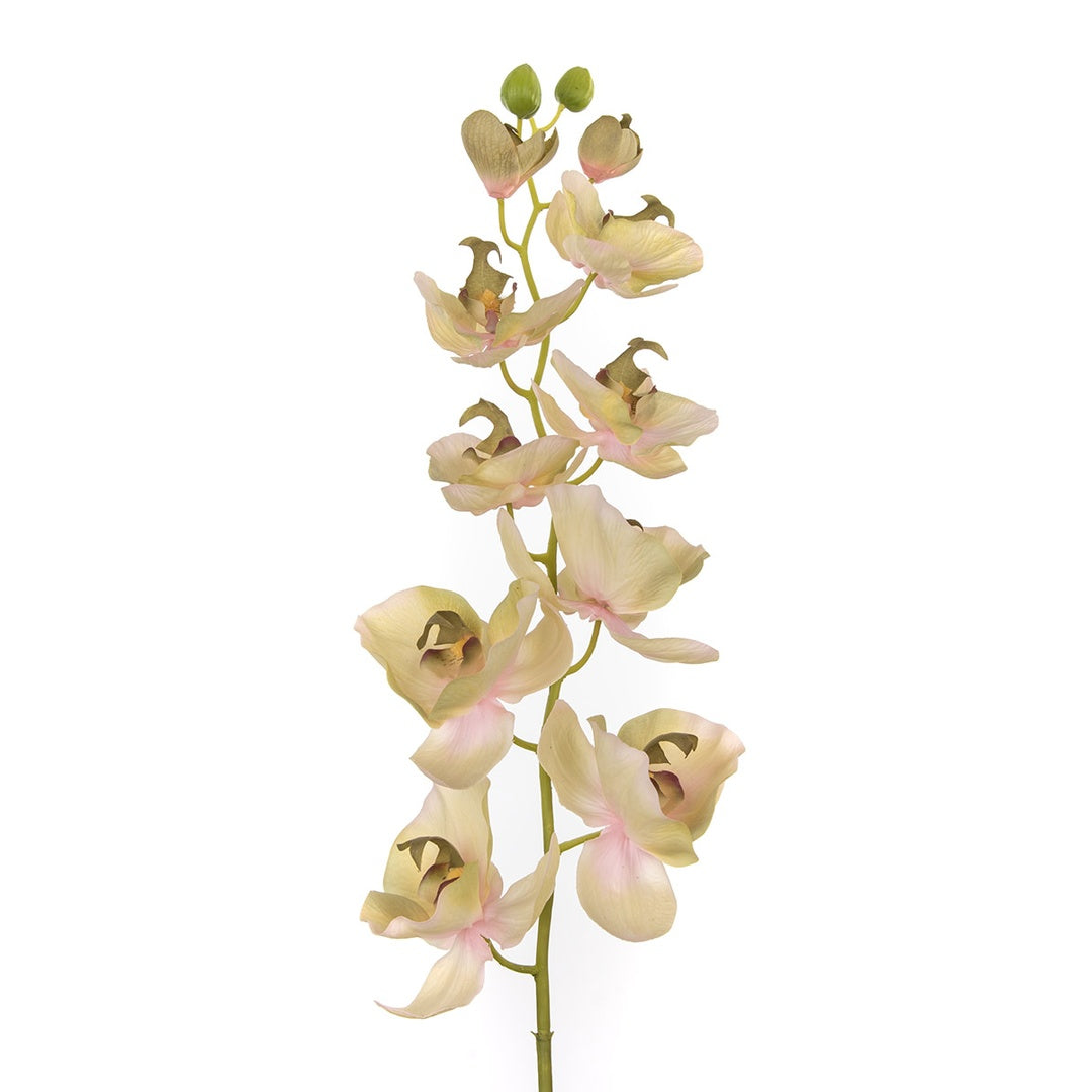 2 Pezzi • Orchidea artificiale con 10 fiori • 109 cm