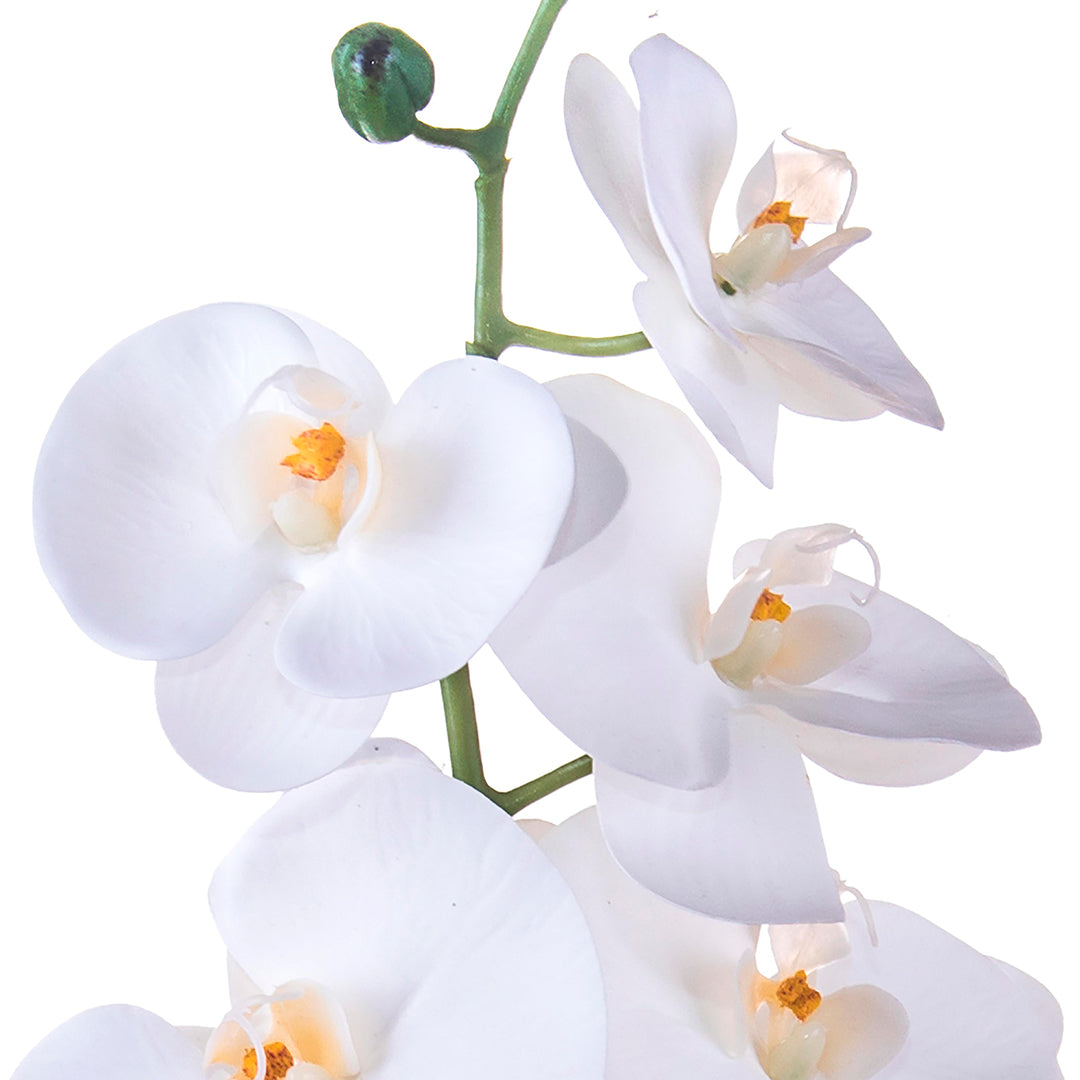 2 Pezzi • Orchidea artificiale con 8 fiori • 103 cm