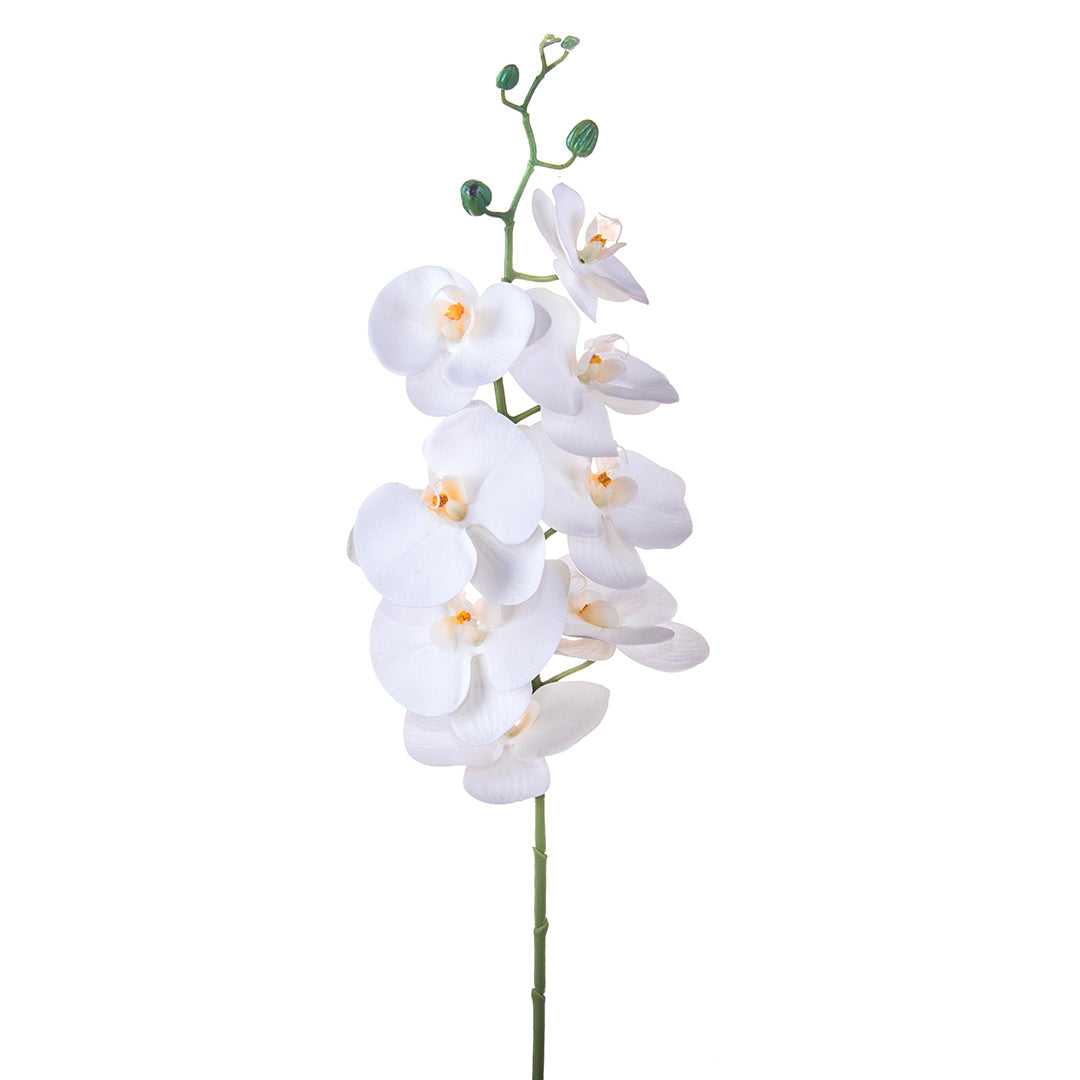 2 Pezzi • Orchidea artificiale con 8 fiori • 103 cm