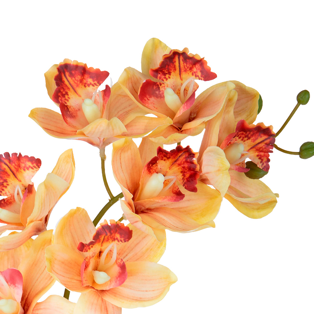 2 Pezzi • Orchidea artificiale • 72 cm