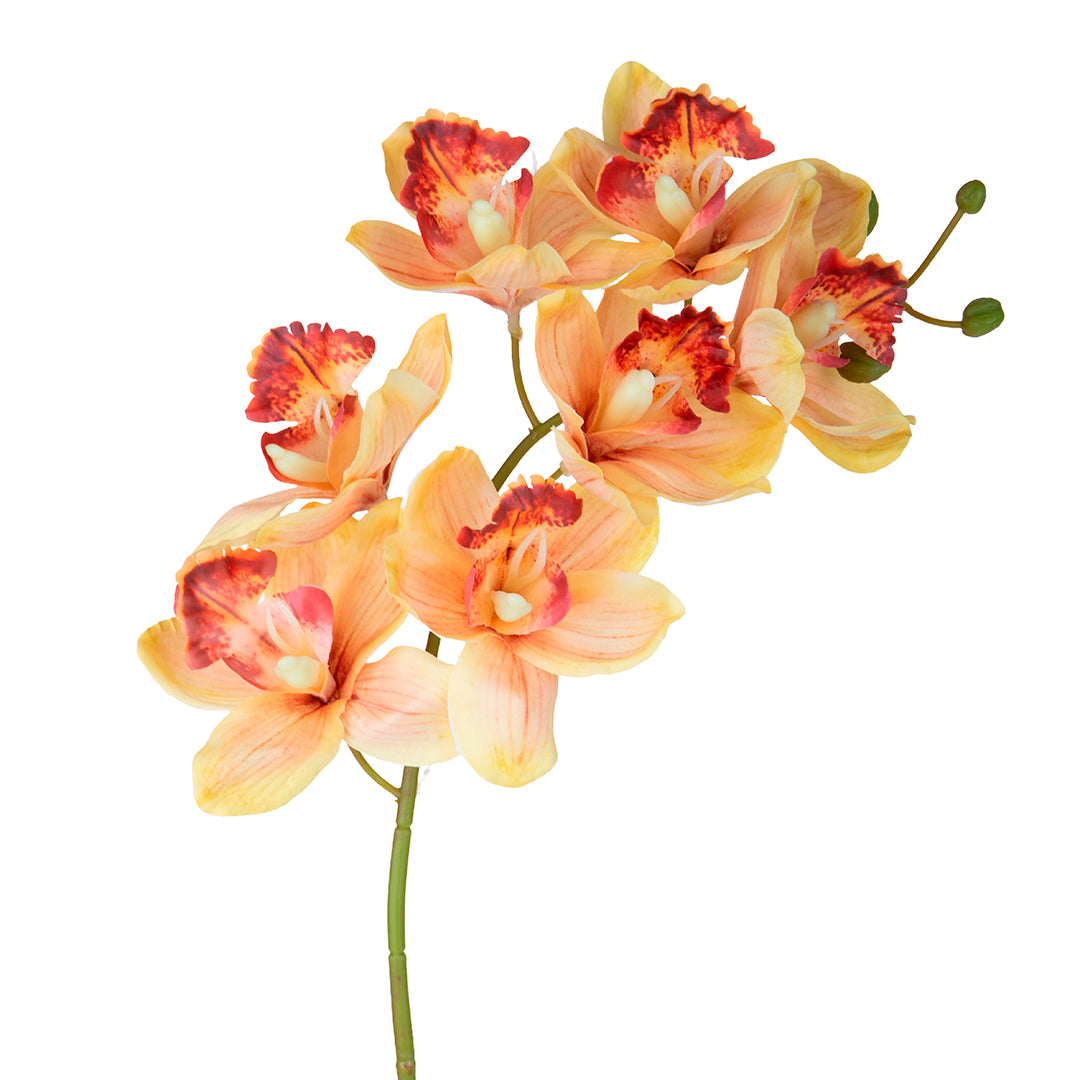 2 Pezzi • Orchidea artificiale • 72 cm