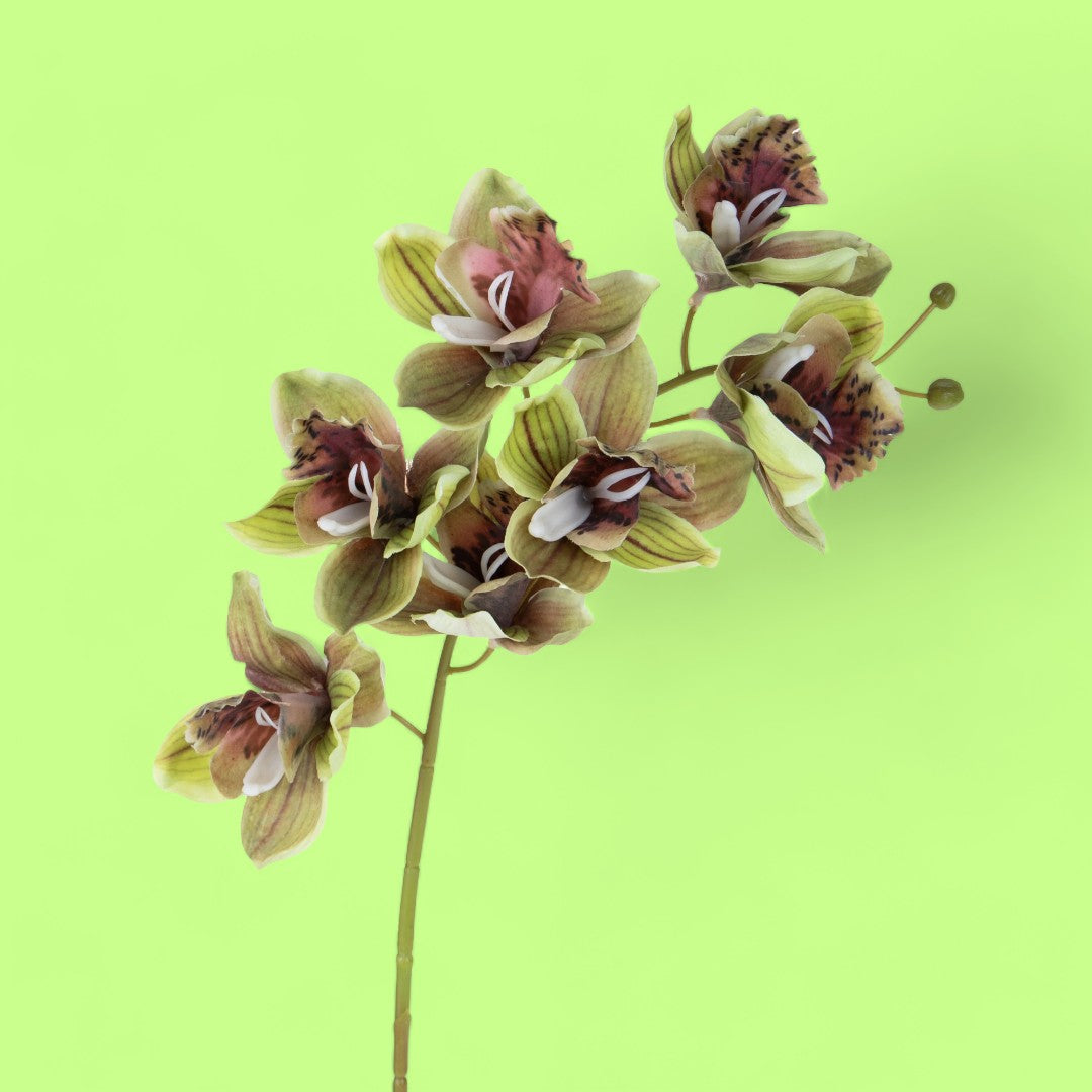 2 Pezzi • Orchidea artificiale • 72 cm