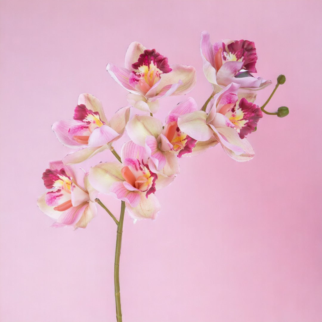 2 Pezzi • Orchidea artificiale • 72 cm