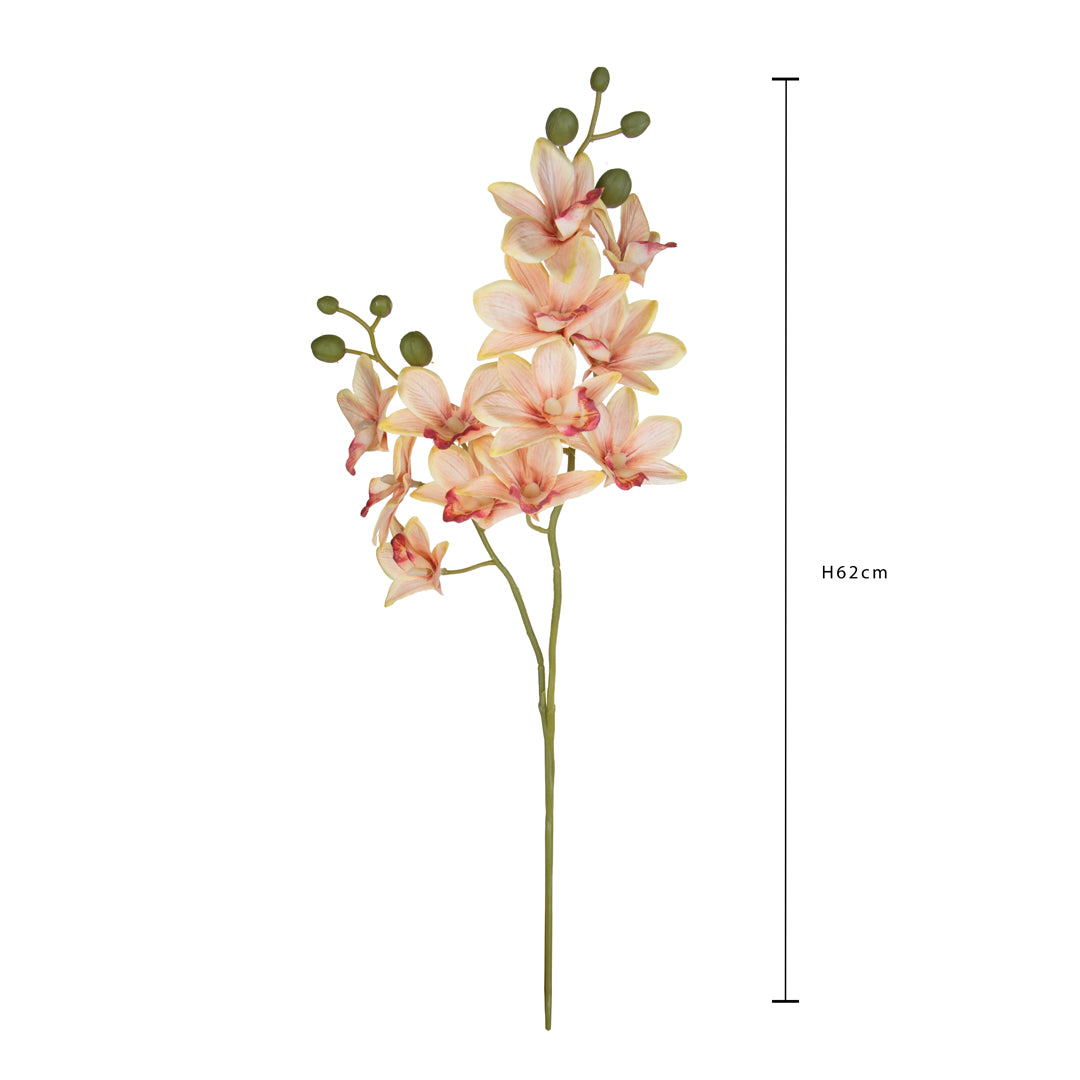 Orchidea x2 • 62 cm