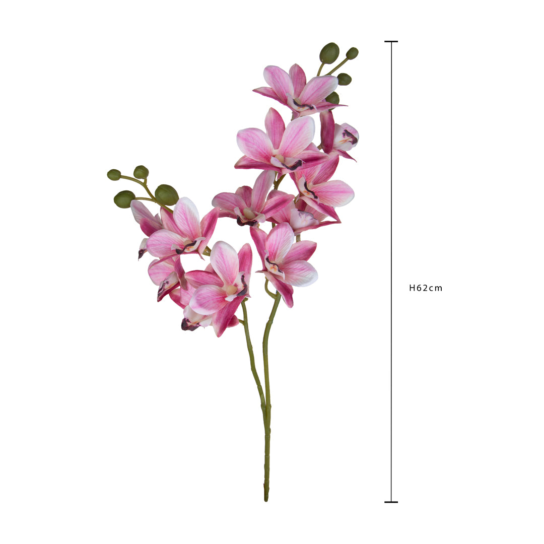 Orchidea x2 • 62 cm