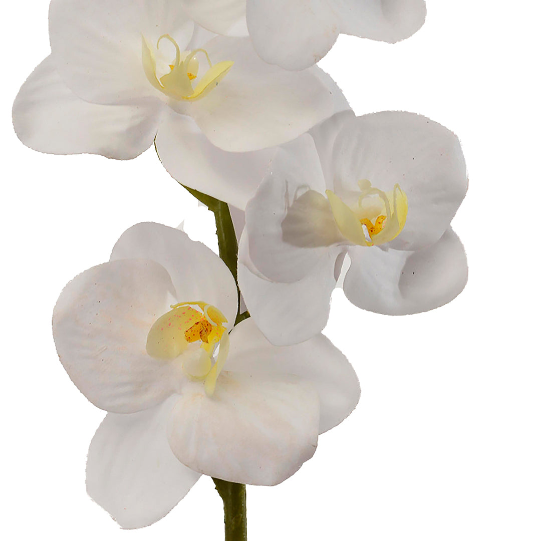 2 Pezzi • Mini Orchidea artificiale • 40 cm