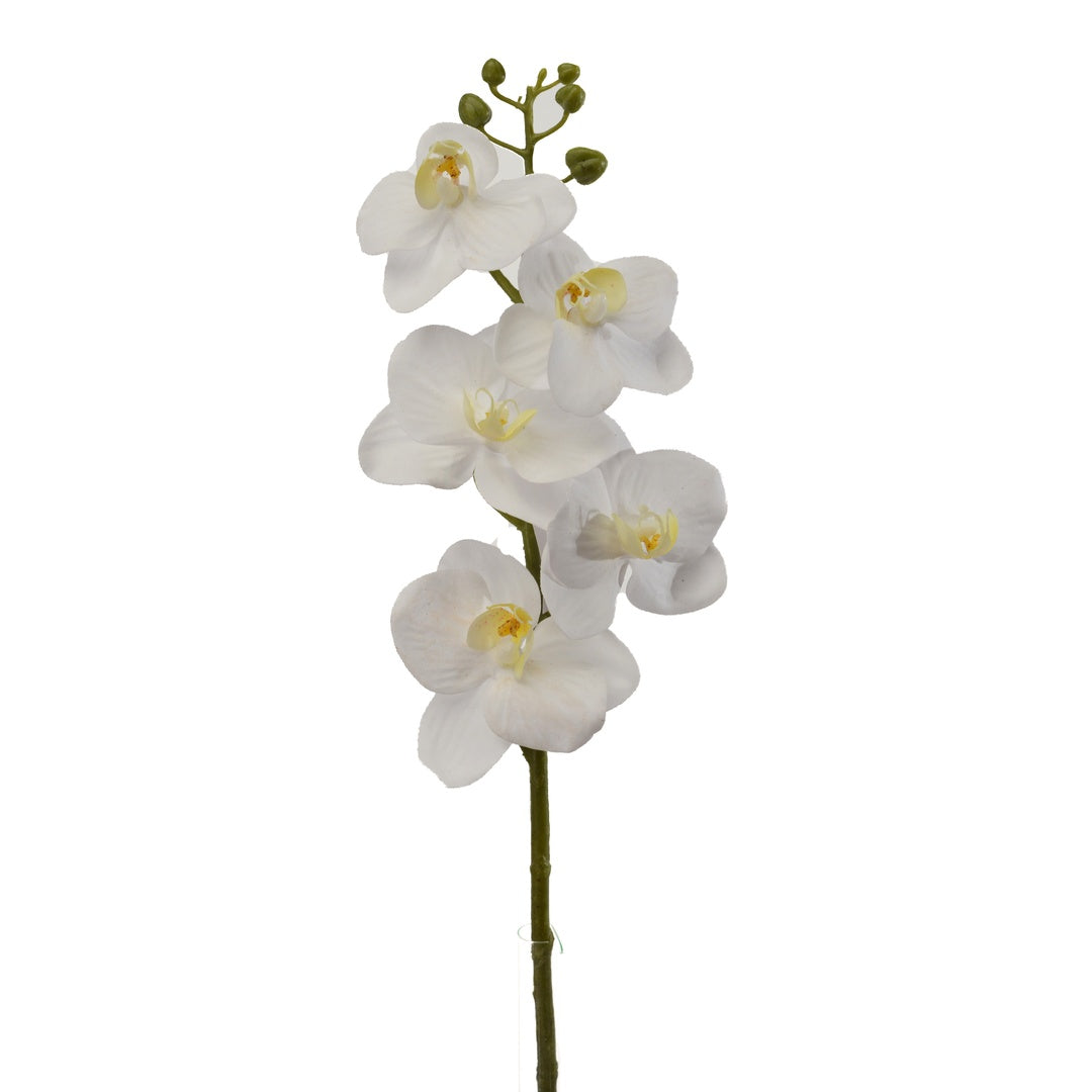 2 Pezzi • Mini Orchidea artificiale • 40 cm