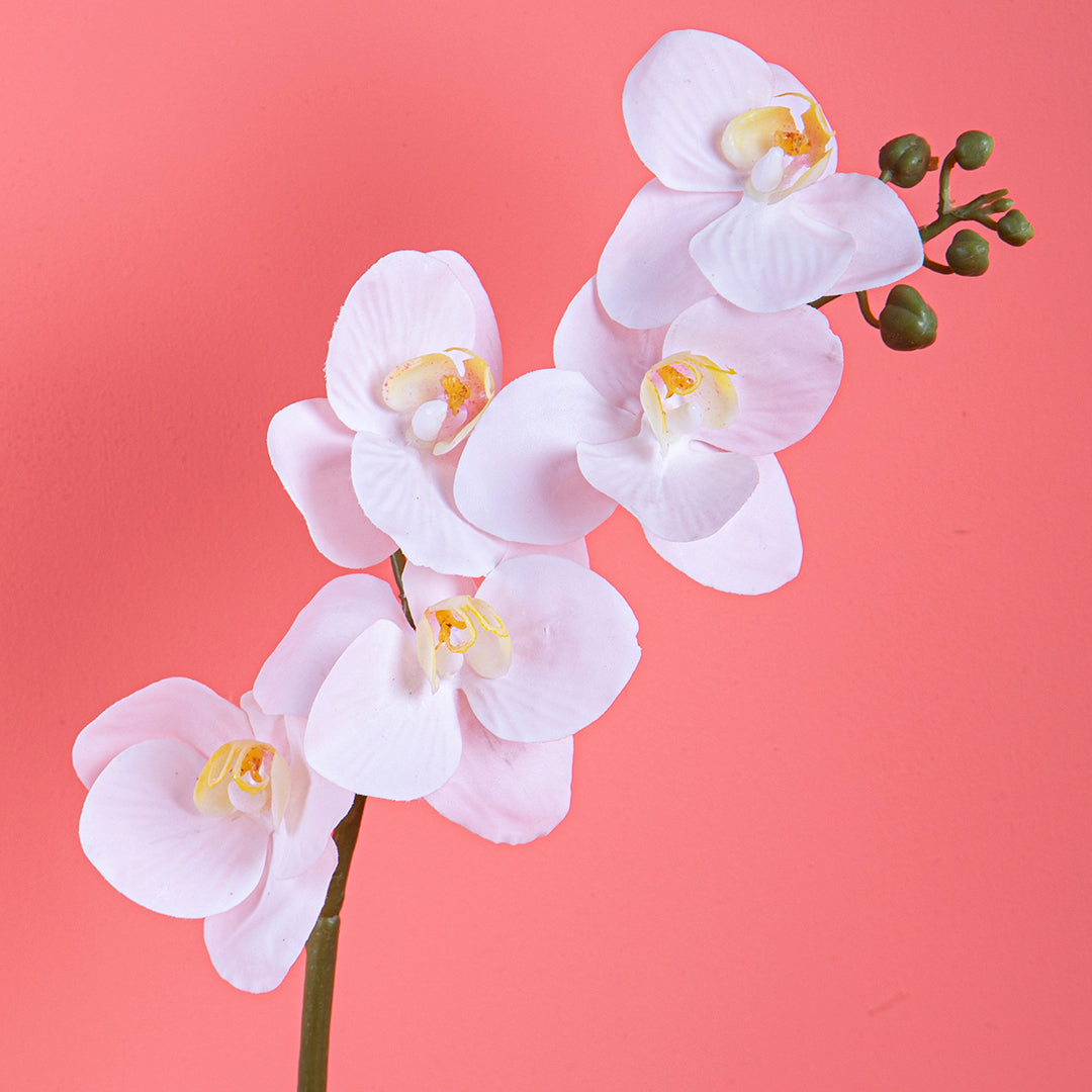 2 Pezzi • Mini Orchidea artificiale • 40 cm