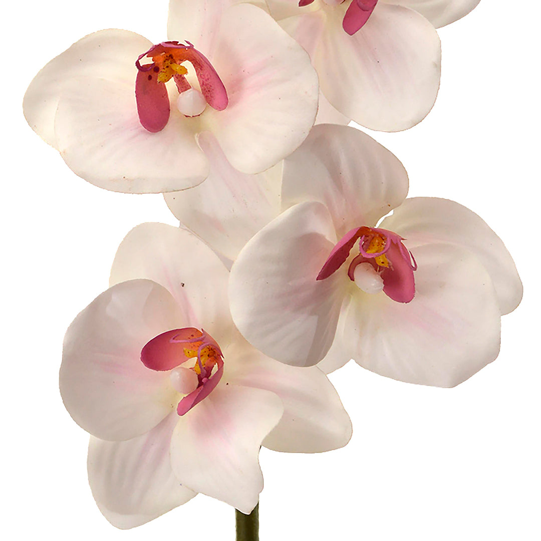 2 Pezzi • Mini Orchidea artificiale • 40 cm