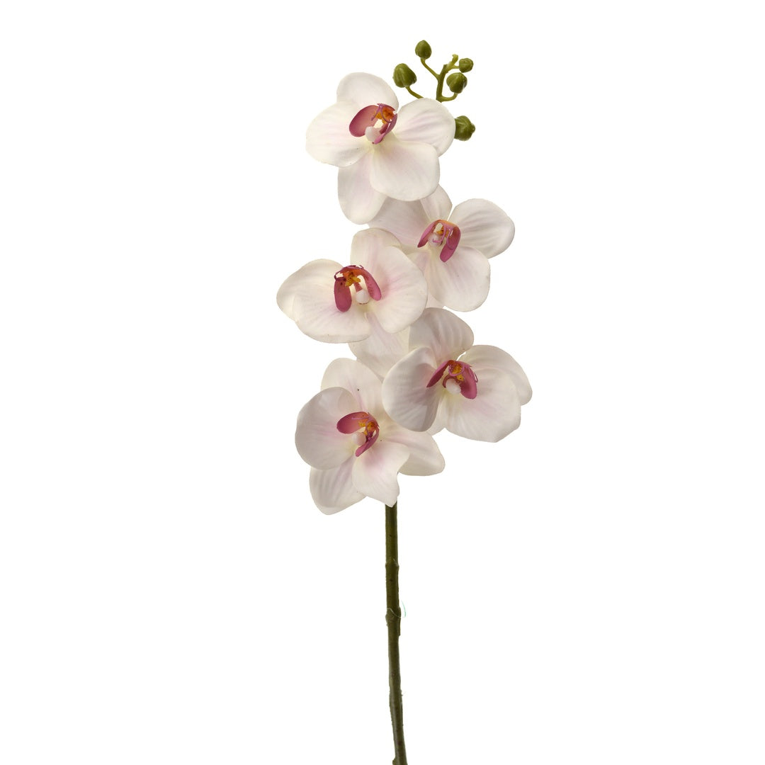 2 Pezzi • Mini Orchidea artificiale • 40 cm