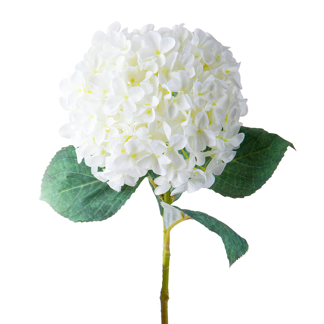 2 Pezzi • Ortensia artificiale con 4 Foglie • 64 cm