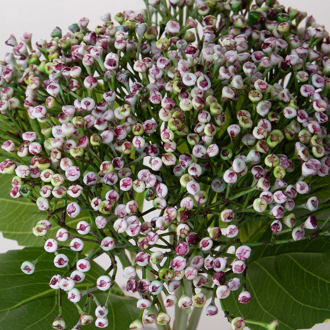 2 Pezzi • Ortensia artificiale cespuglio • 32 cm