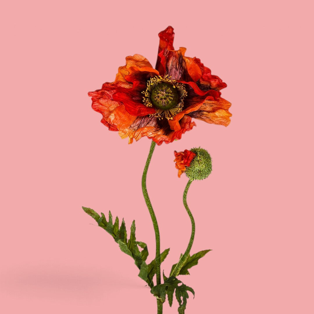4 Pezzi • Papavero per 2 fiori • 74 cm