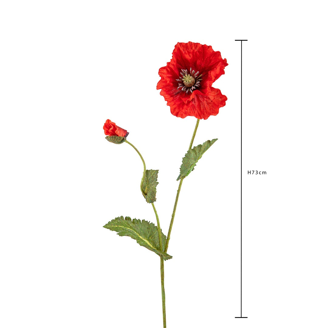 2 Pezzi • Papavero • 73 cm