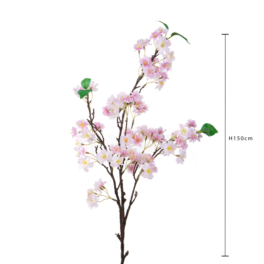 2 Pezzi • Pesco • 105 cm