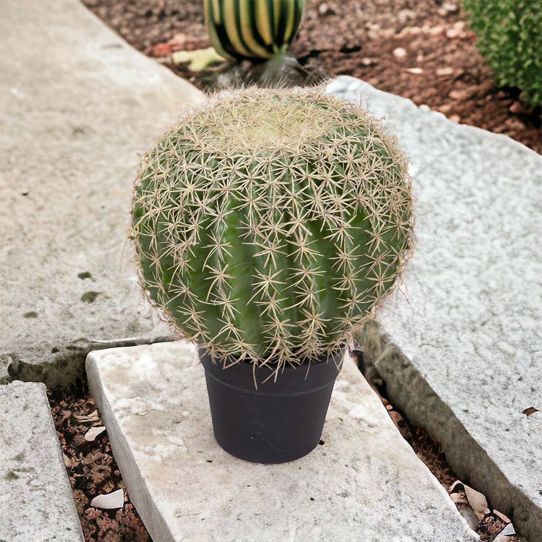 Verde artificiale Echinocactus • 36 cm