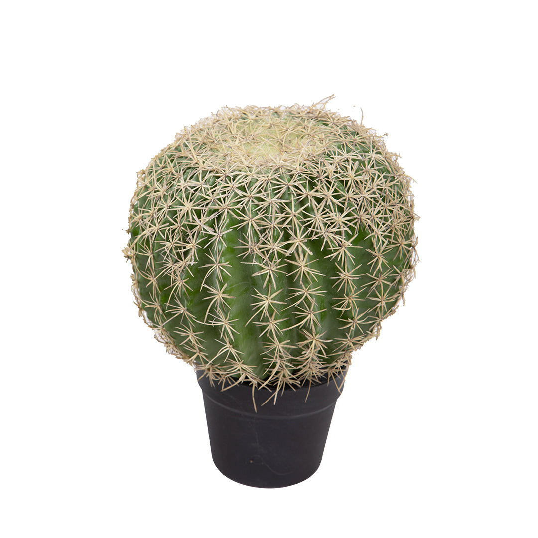 Verde artificiale Echinocactus • 36 cm