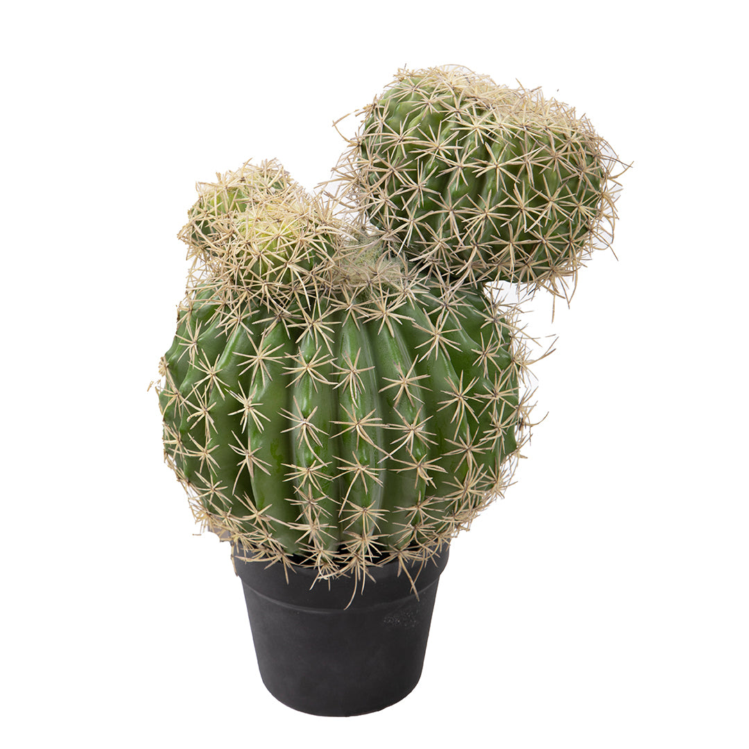 Verde artificiale Echinocactus per 3 rami • 43 cm