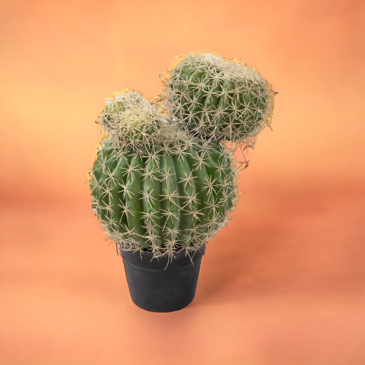 Verde artificiale Echinocactus per 3 rami • 43 cm
