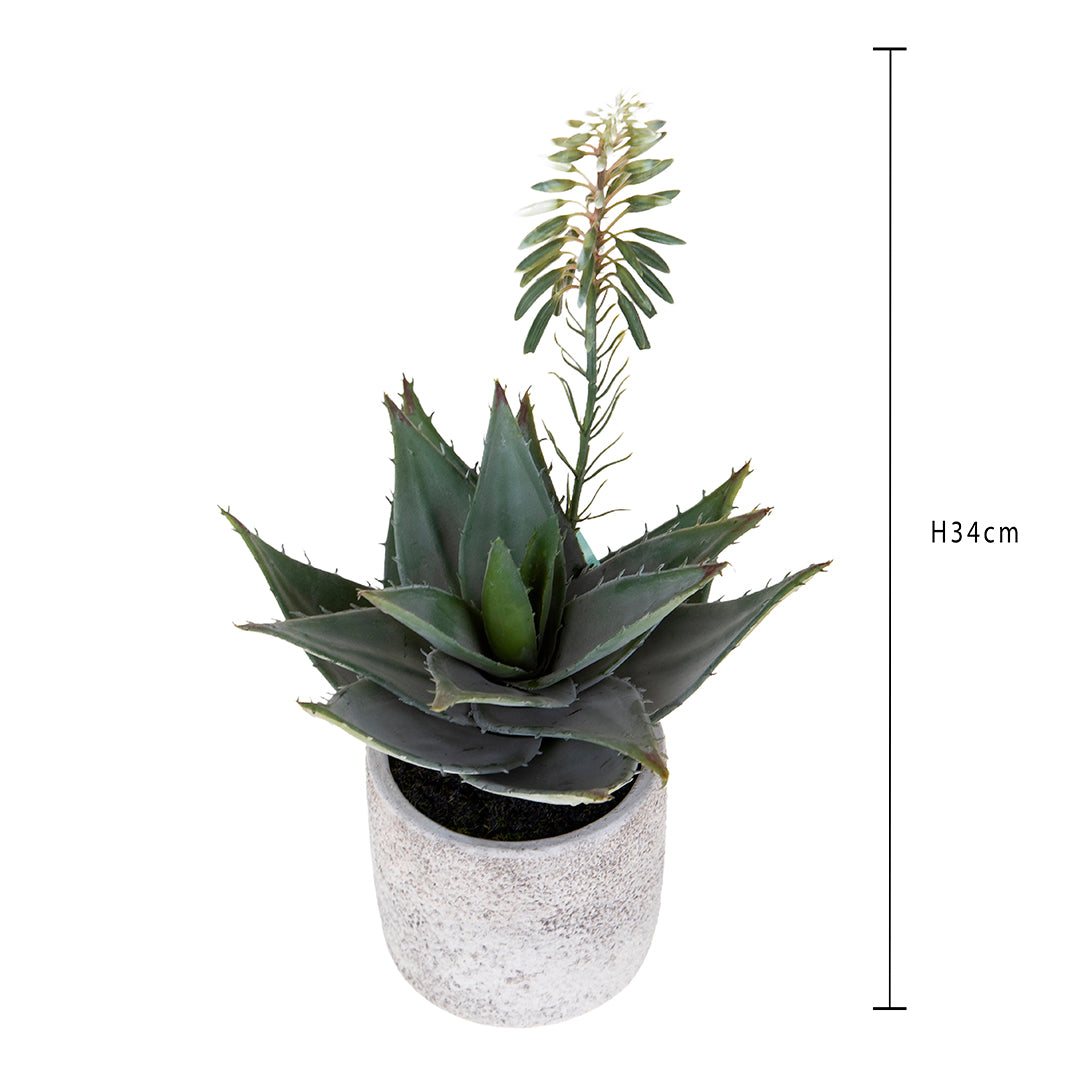 Aloe artificiale In Vaso • 34 cm