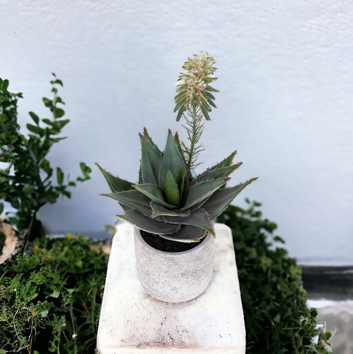 Aloe artificiale In Vaso • 34 cm
