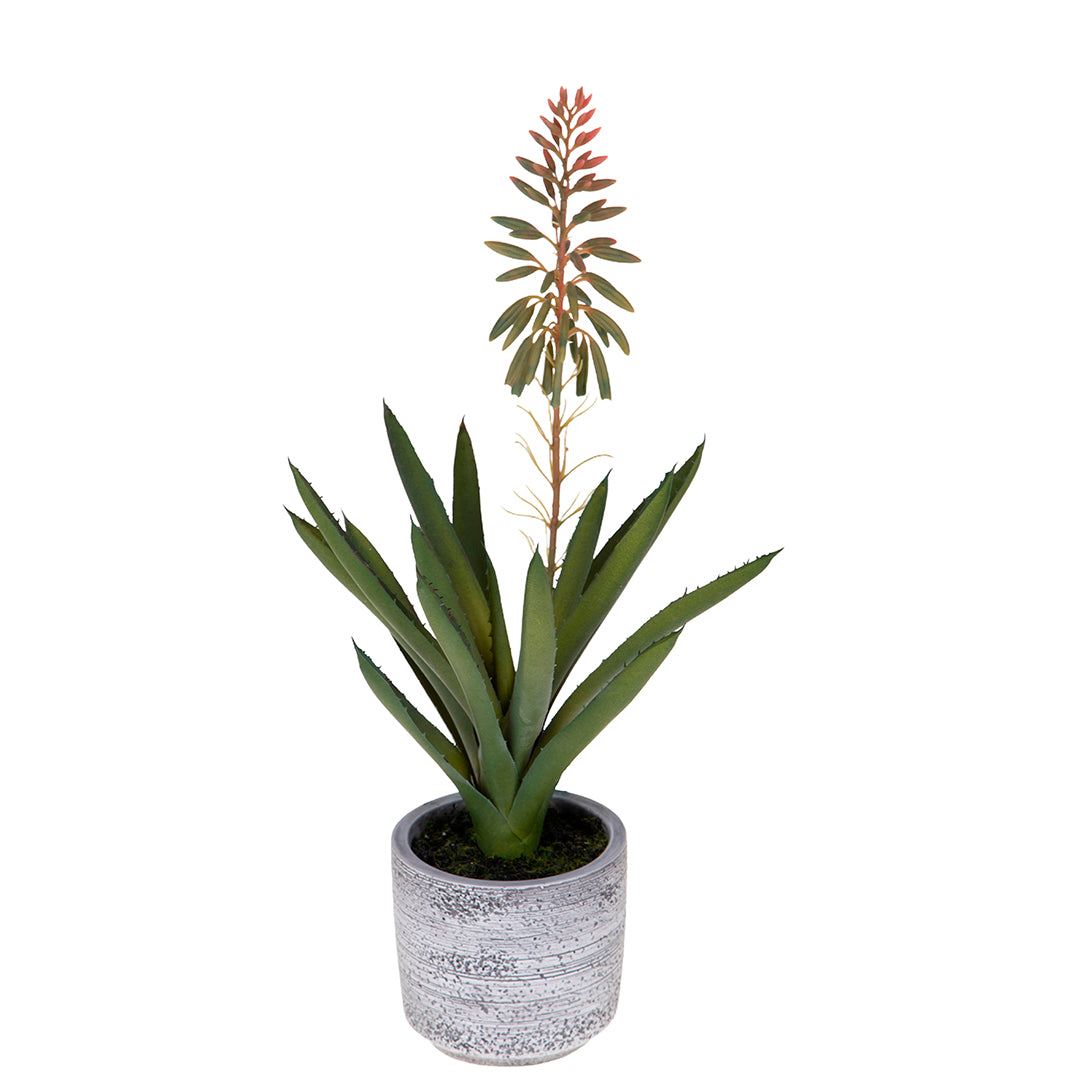 Aloe artificiale In Vaso • 36 cm