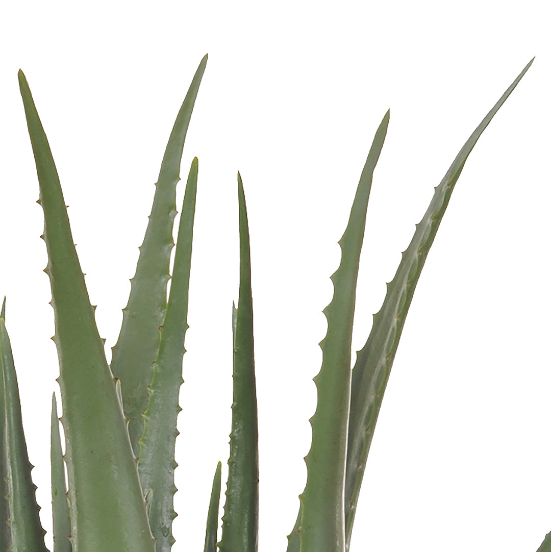 Aloe artificiale con vaso alto • 70 cm