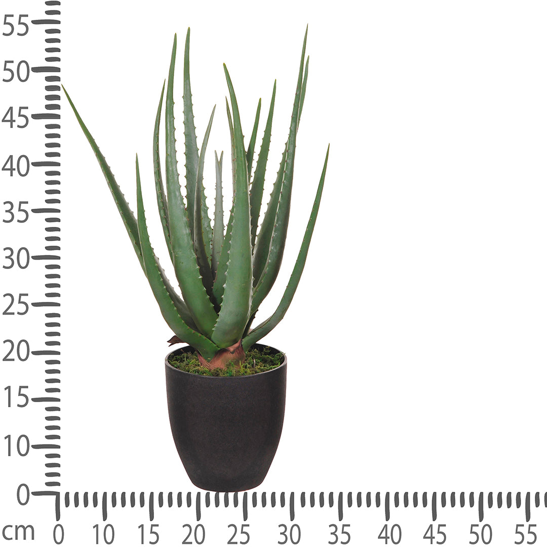 Aloe artificiale con vaso 17 foglie • 55 cm