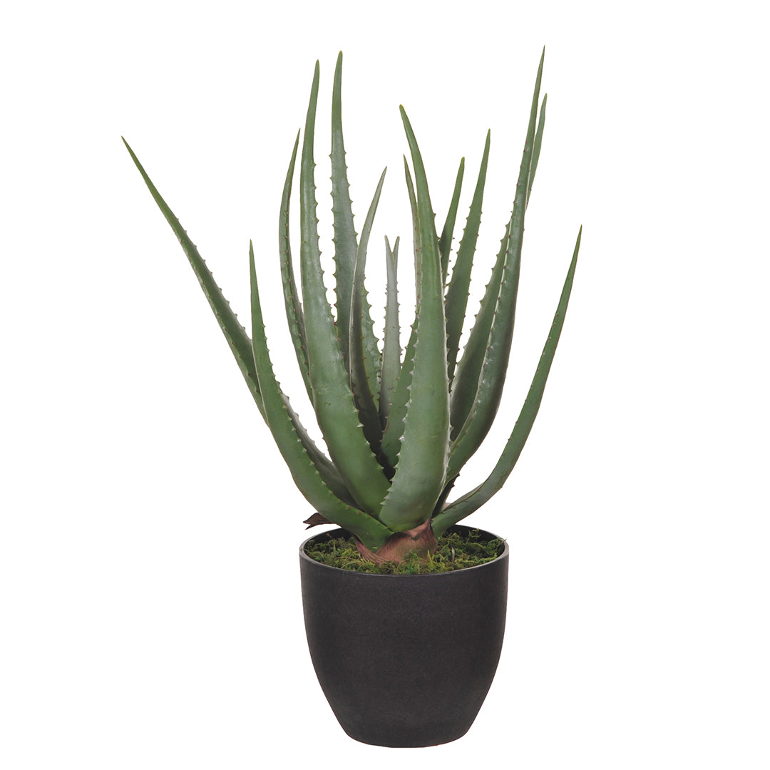 Aloe artificiale con vaso 17 foglie • 55 cm