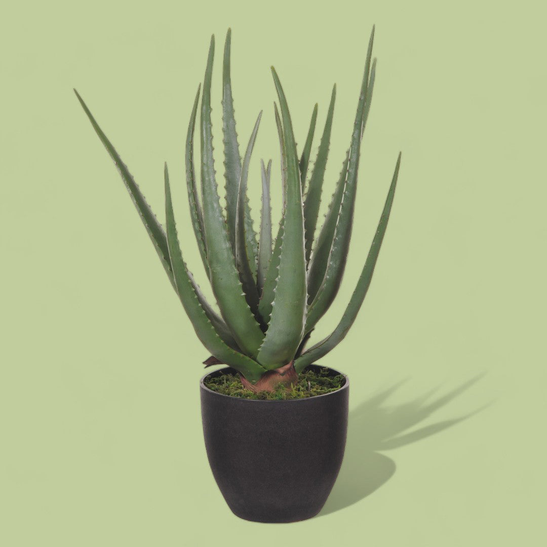Aloe artificiale con vaso 17 foglie • 55 cm