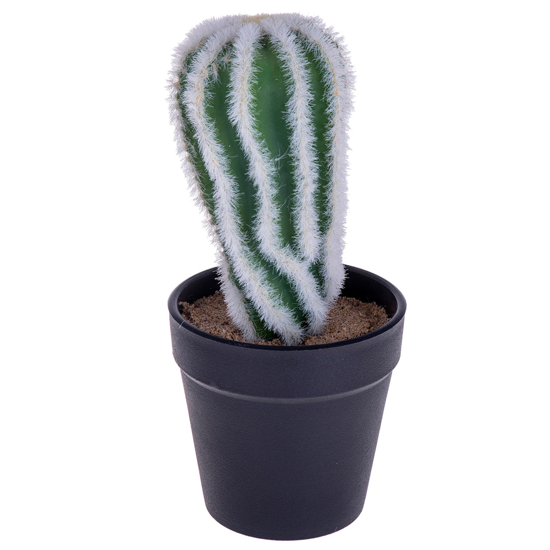 Cactus con vaso artificiale • 20 cm