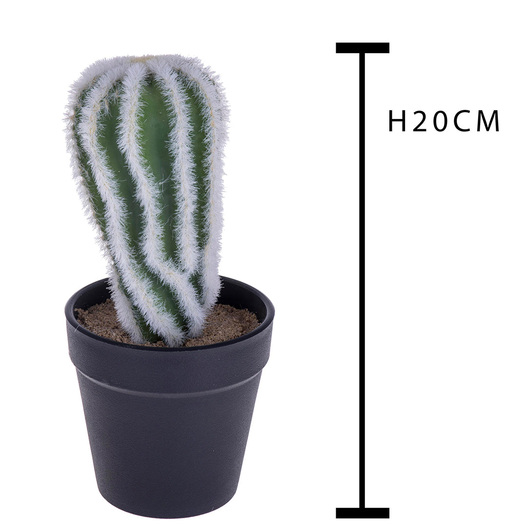 Cactus con vaso artificiale • 20 cm