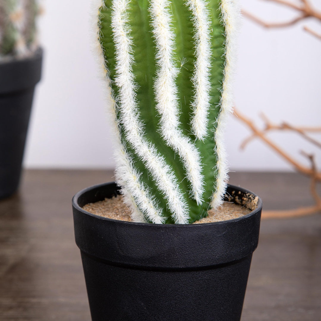 Cactus con vaso artificiale • 20 cm