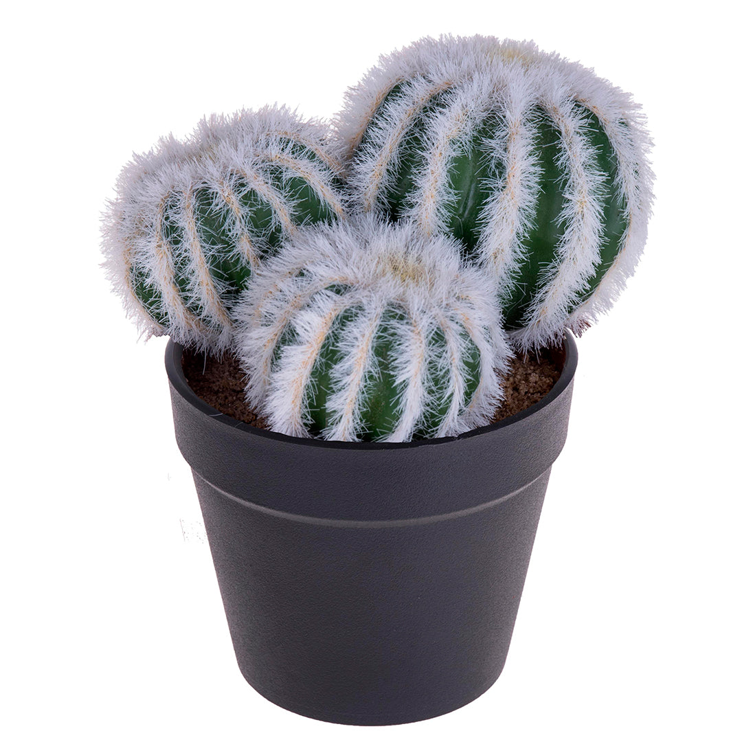 Cactus per 3 con vaso artificiale • 12 cm