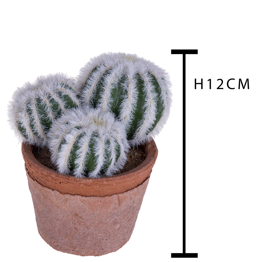 Cactus per 3 con vaso artificiale • 12 cm