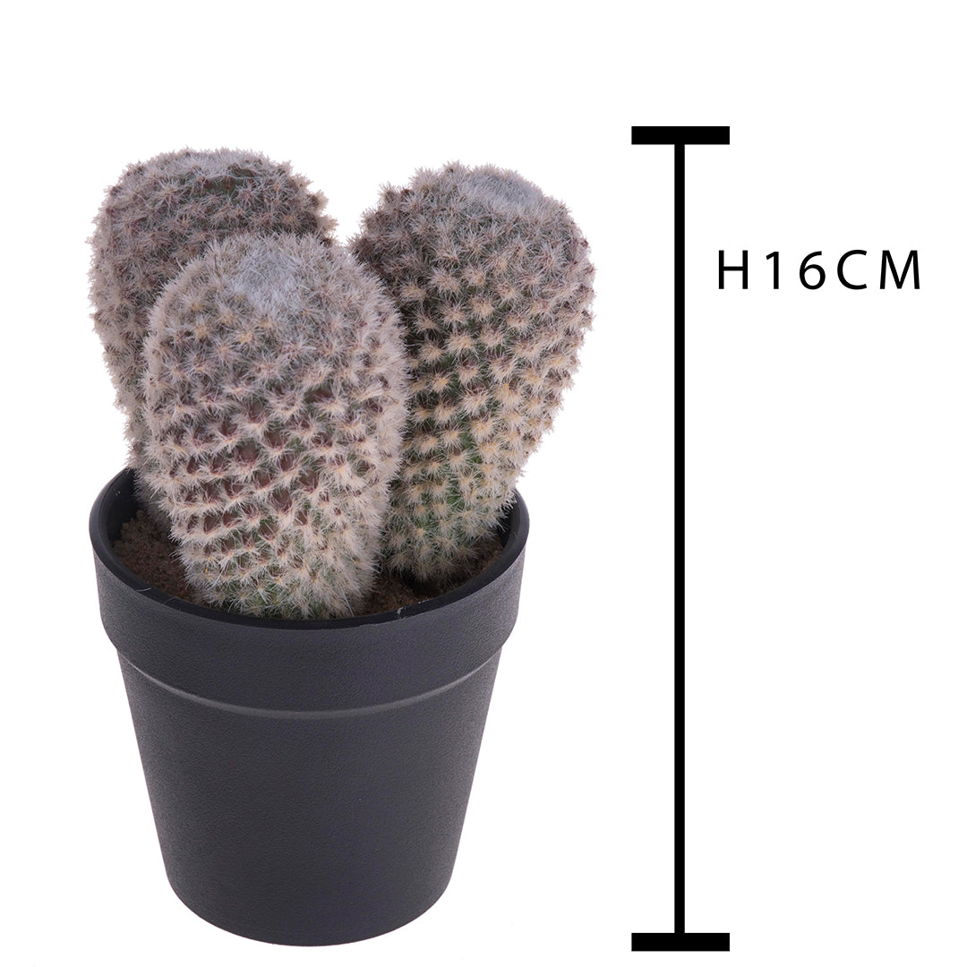 Cactus con vaso artificiale • 16 cm