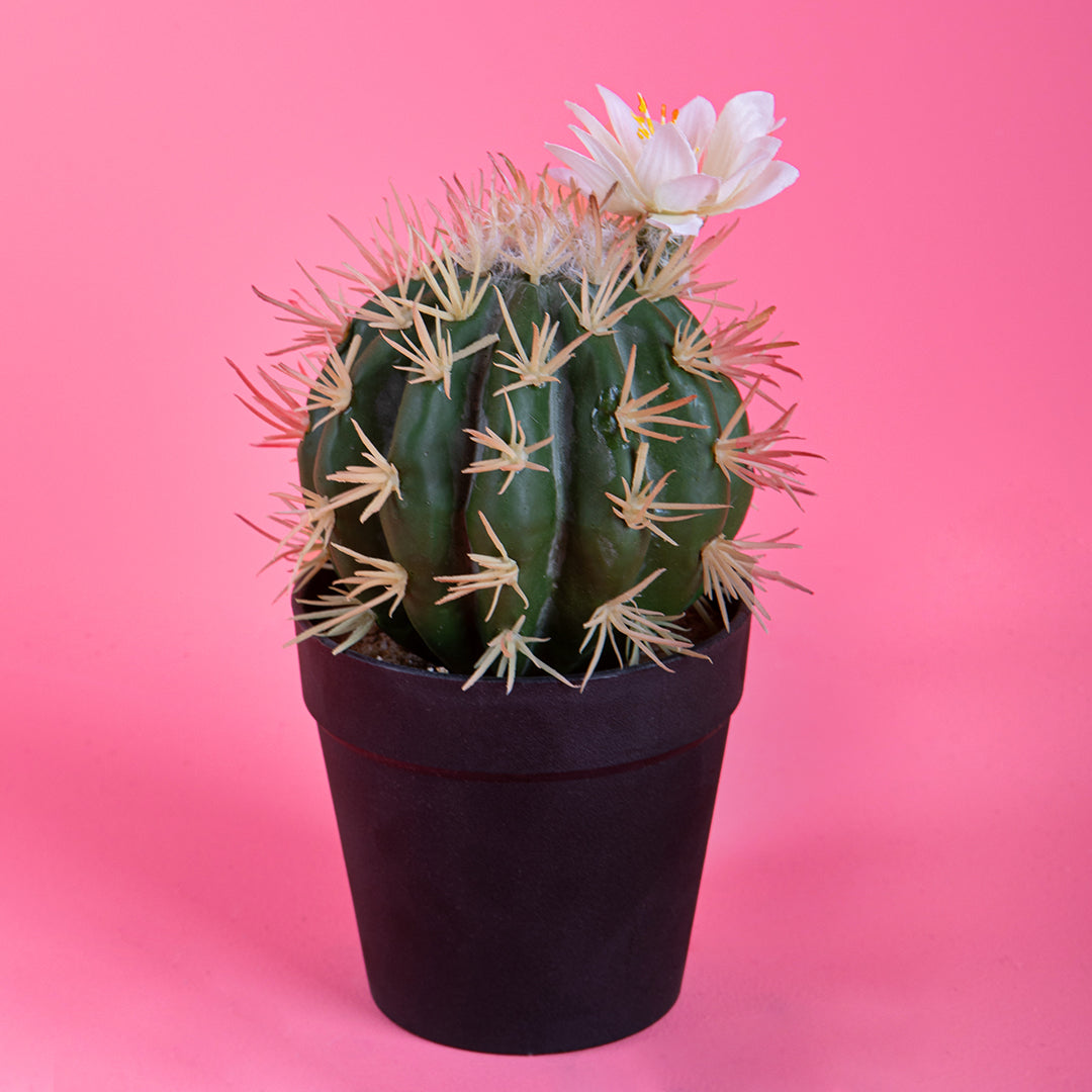 Cactus con fiori in vaso artificiale • 19 cm