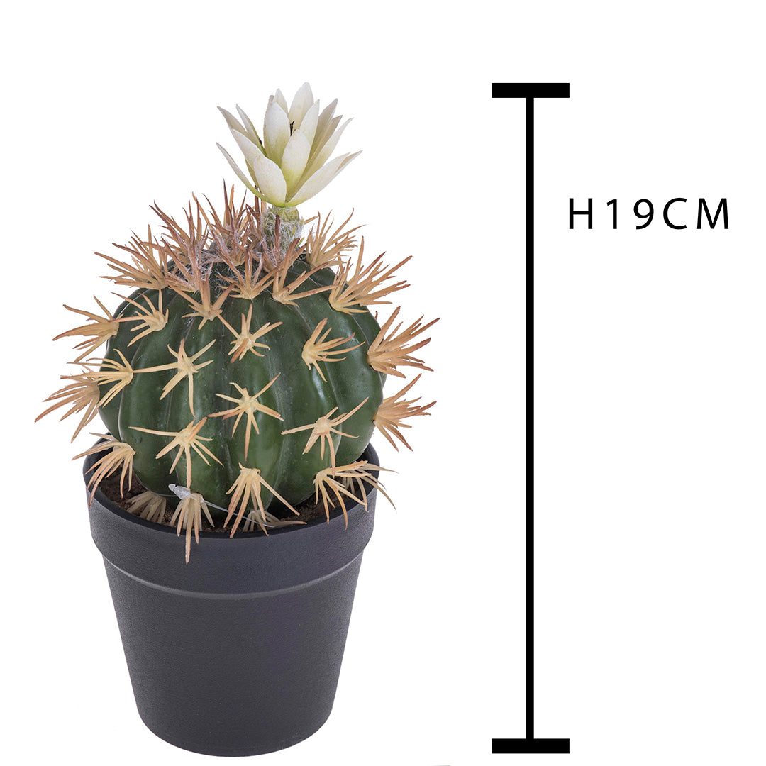 Cactus con fiori in vaso artificiale • 19 cm