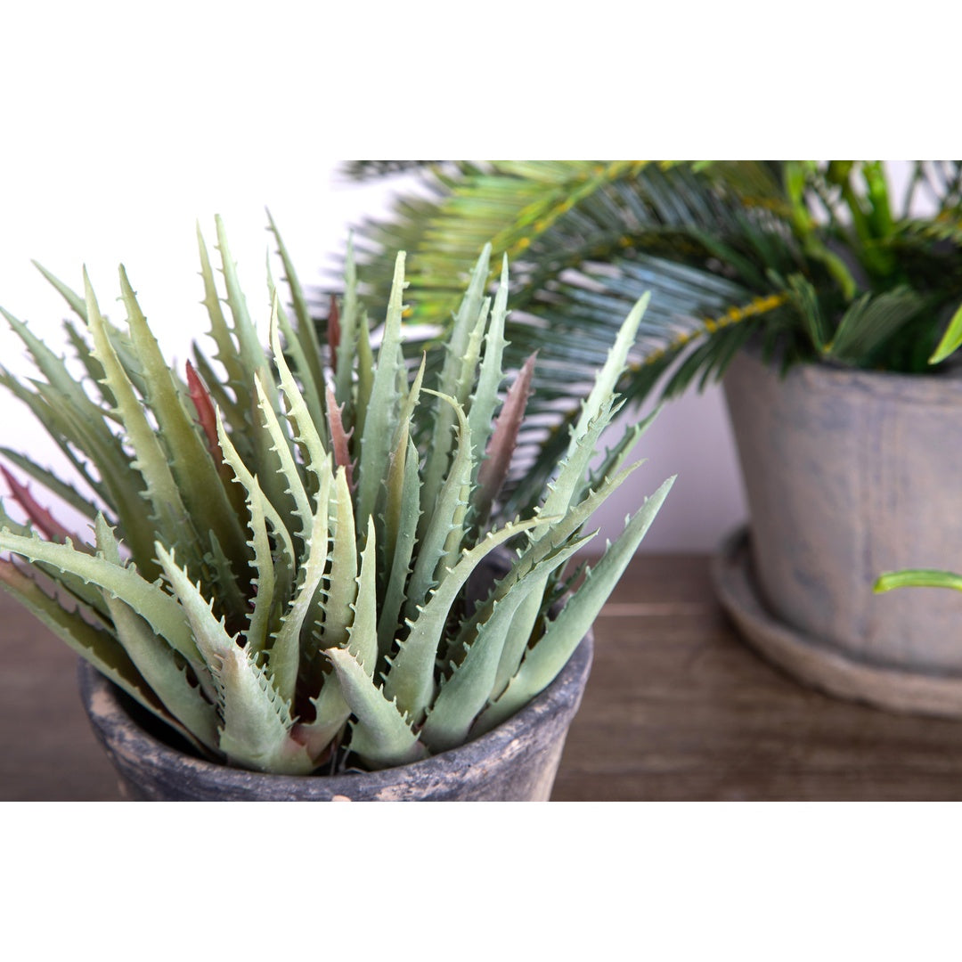 Aloe artificiale • 24 cm
