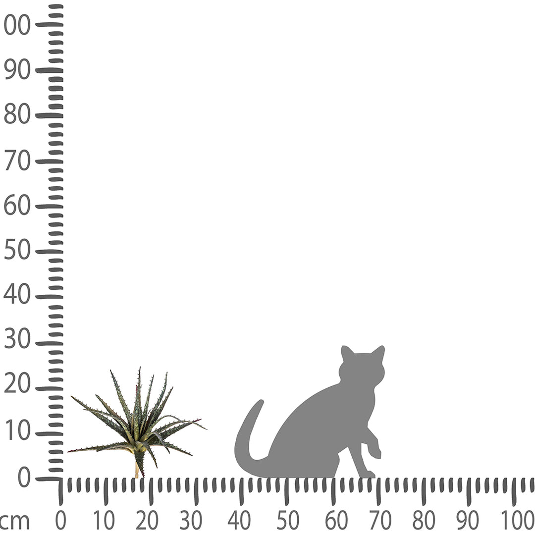 Aloe artificiale • 24 cm