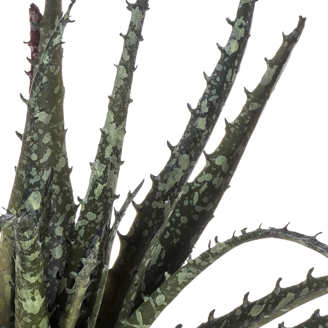 Aloe artificiale • 24 cm