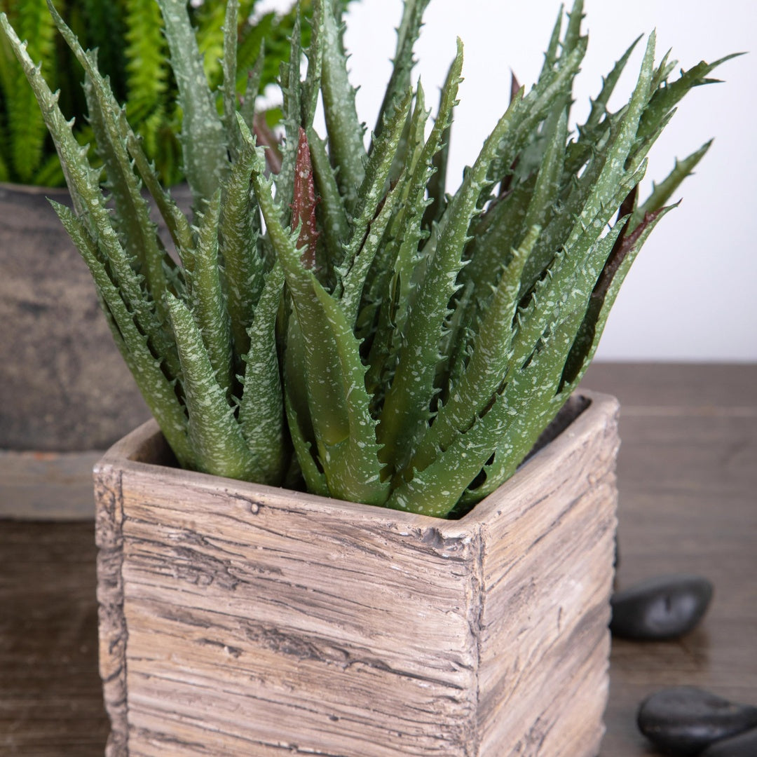 Aloe artificiale • 24 cm