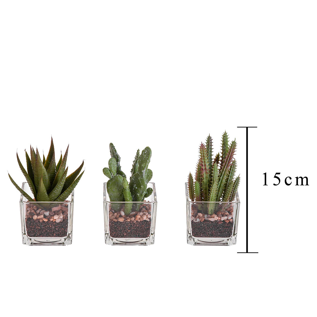 3 Pezzi • Pianta grassa in vaso assortita artificiale • 15 cm