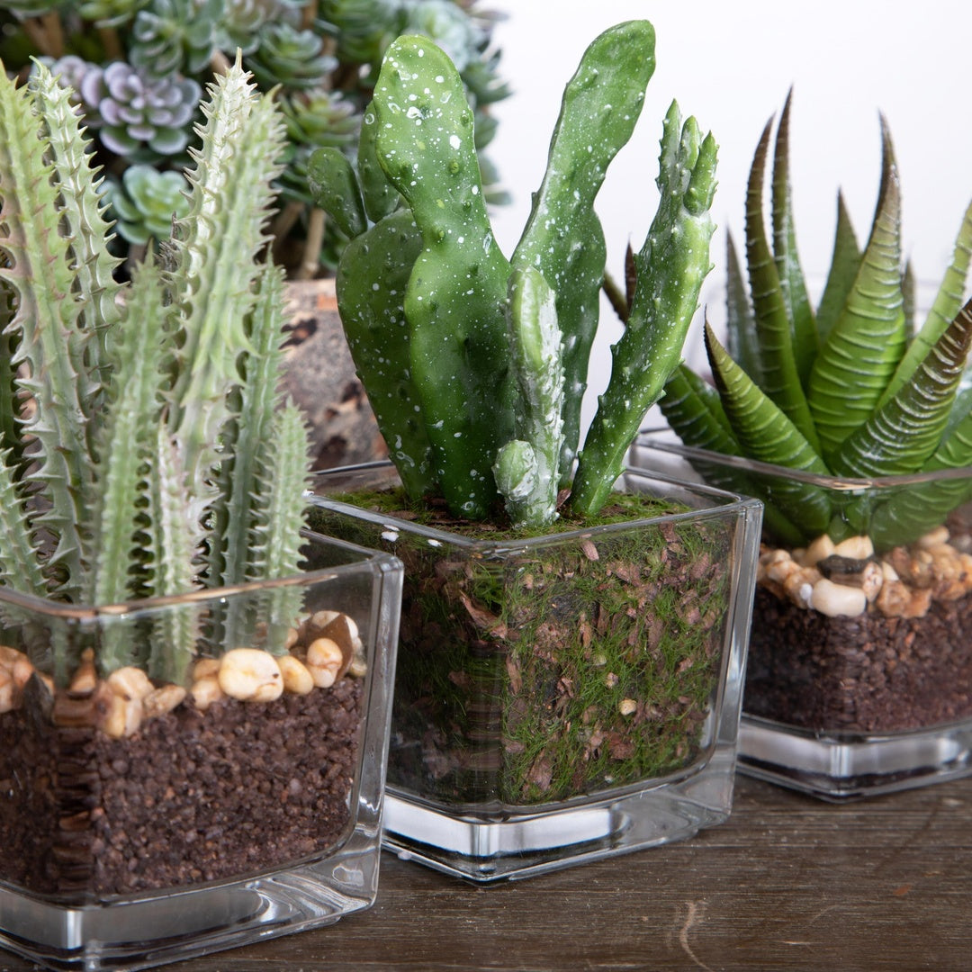 3 Pezzi • Pianta grassa in vaso assortita artificiale • 15 cm