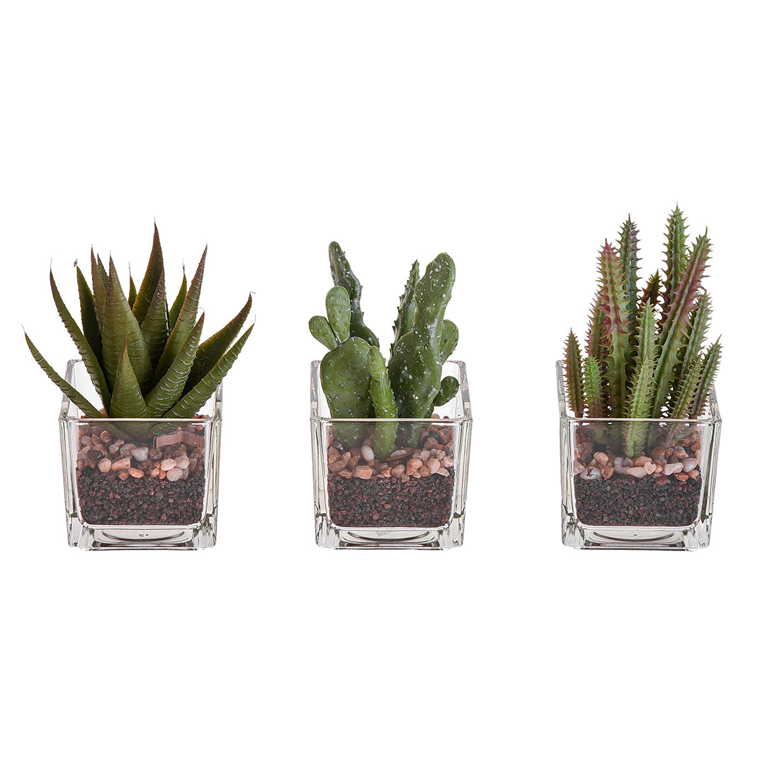 3 Pezzi • Pianta grassa in vaso assortita artificiale • 15 cm