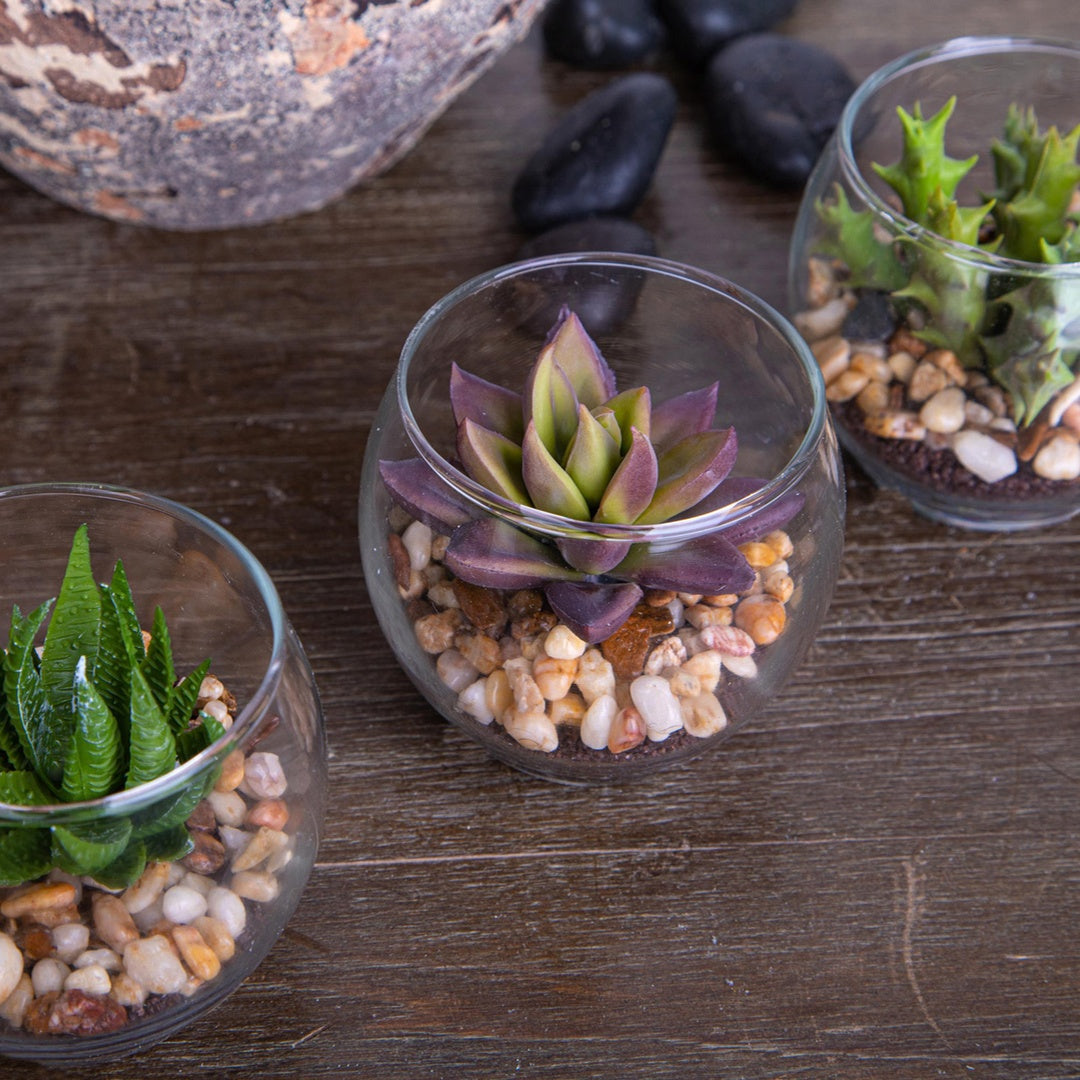 3 Pezzi • Pianta grassa con vaso artificiale • 5 cm