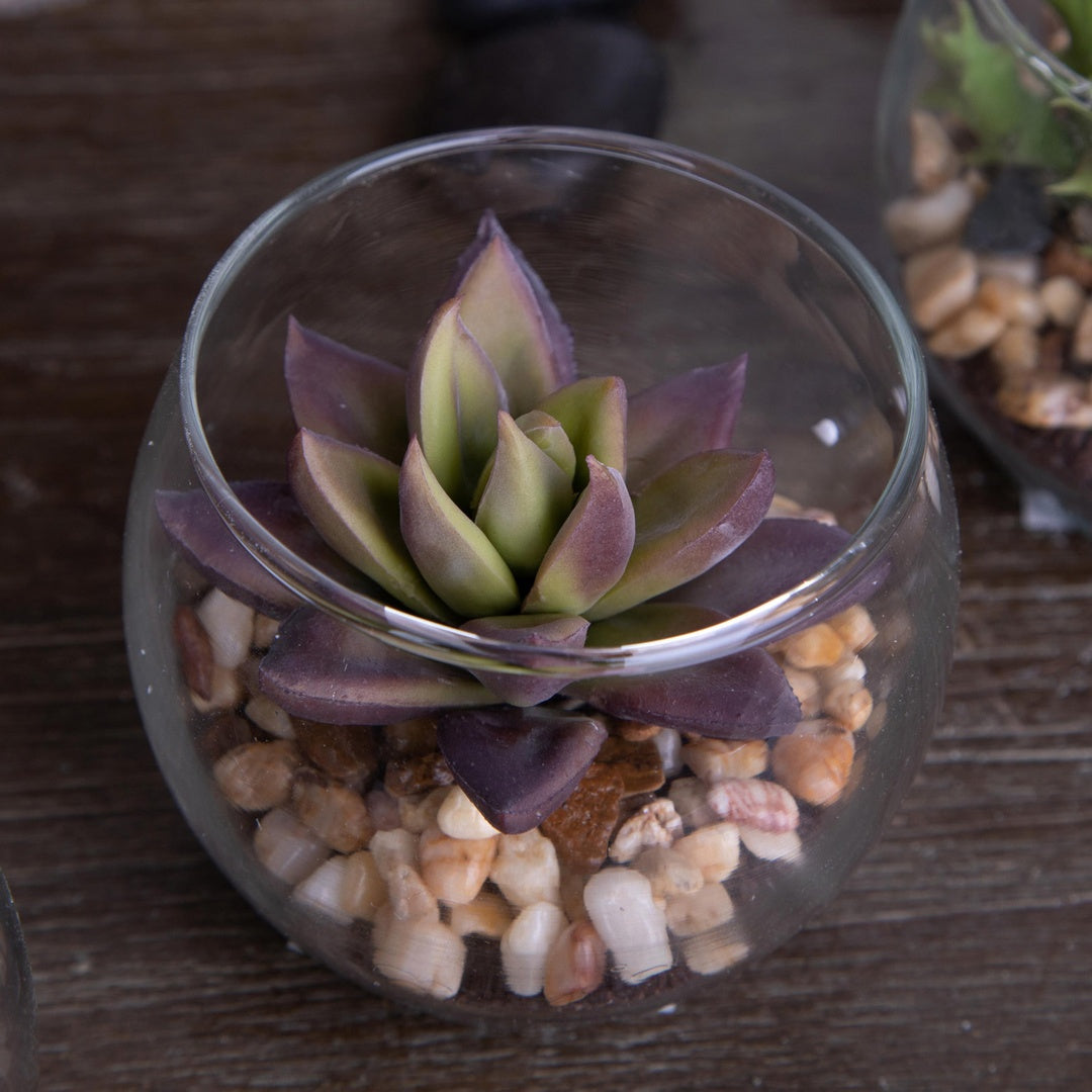 3 Pezzi • Pianta grassa con vaso artificiale • 5 cm