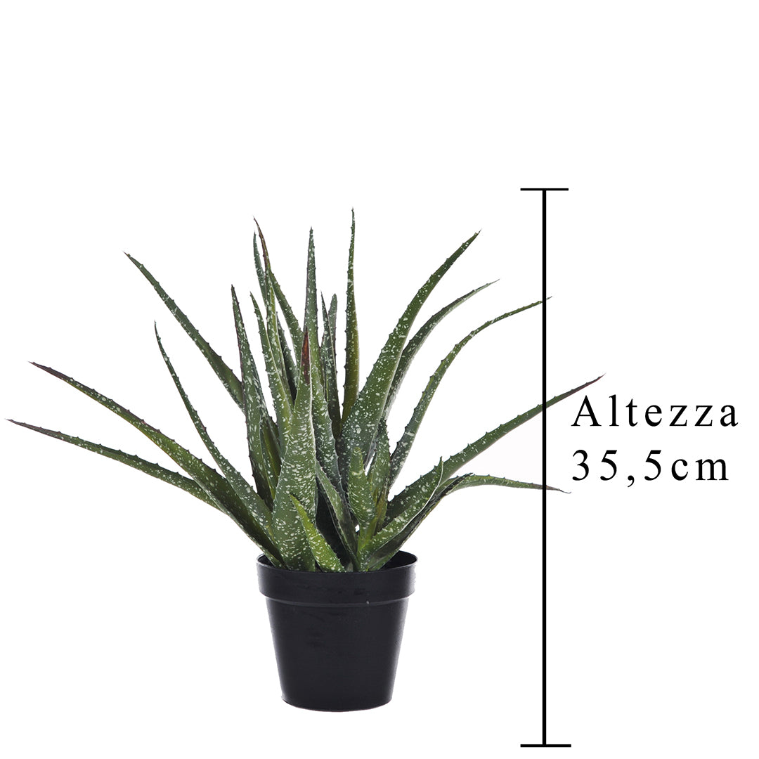 Verde artificiale Hawortia aloe artificiale con vaso • 35 cm