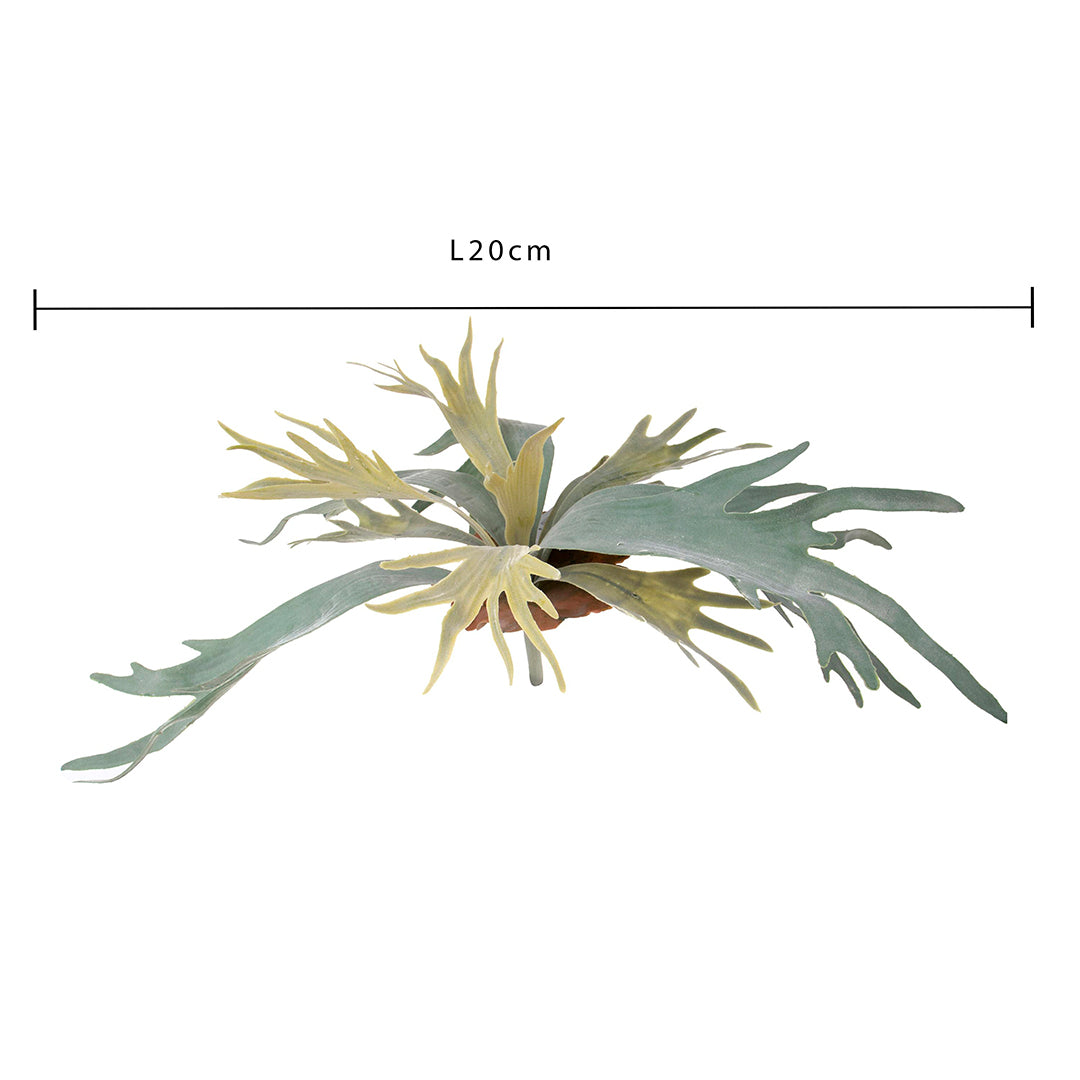 Platycerium per artificiale • 48 cm