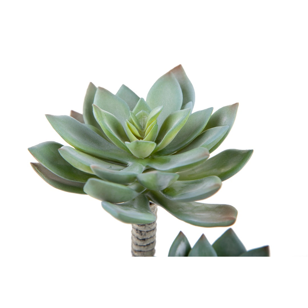 2 Pezzi • Succulent a 2 diramazioni artificiale • 22 cm